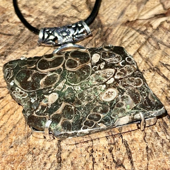 Large Elemia Turritella Agate Pendant 2” - Picture 10 of 12